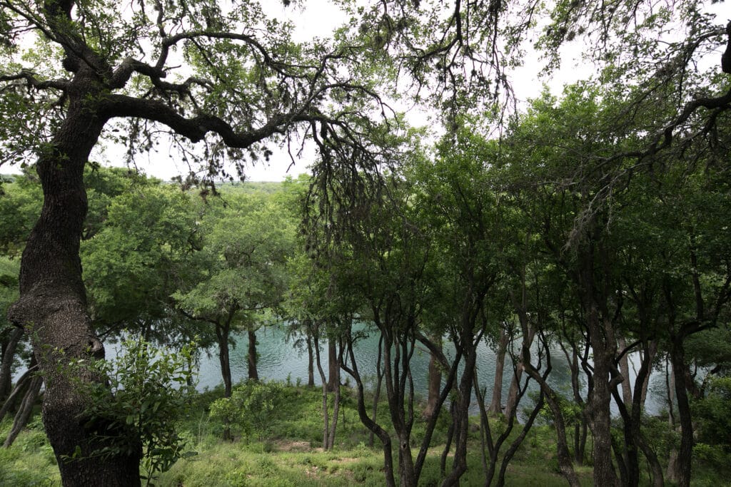 River Tree Loft gallery